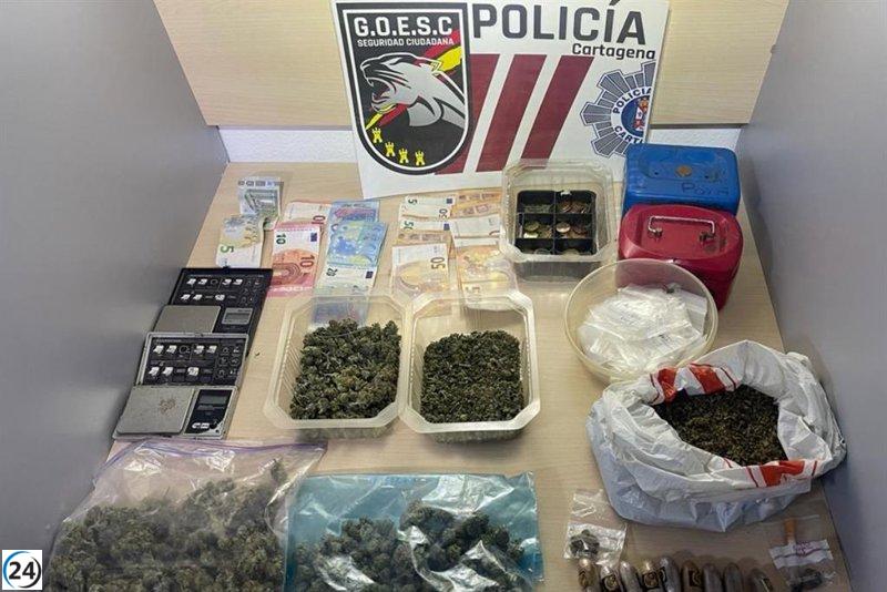 En falso club de consumidores en Cartagena, se decomisan 470 gramos de marihuana y 130 gramos de hachís
