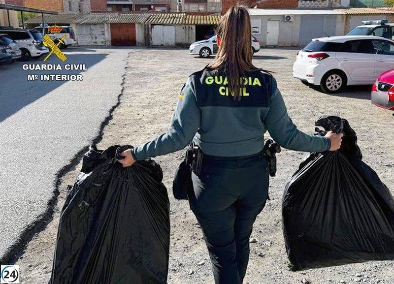 Detenido en Villanueva por posesión e intento de cultivo de cientos de plantas de marihuana.