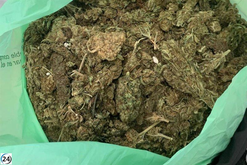 Detenido individuo con una gran cantidad de marihuana en Cartagena
