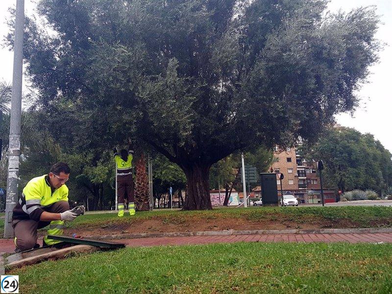 Murcia ahorra agua en áreas de césped utilizando un innovador sistema de control hídrico
