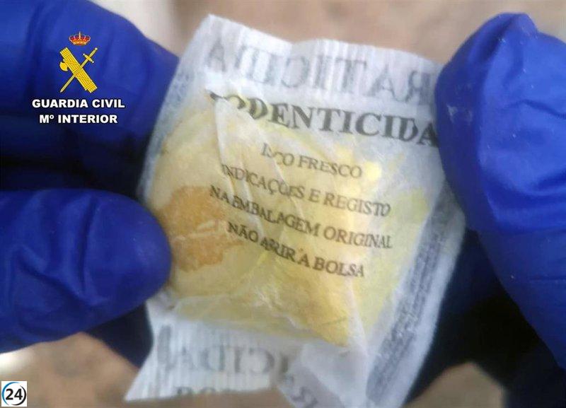 Investigación de la Guardia Civil por el uso irresponsable de veneno raticida en una finca de Fortuna