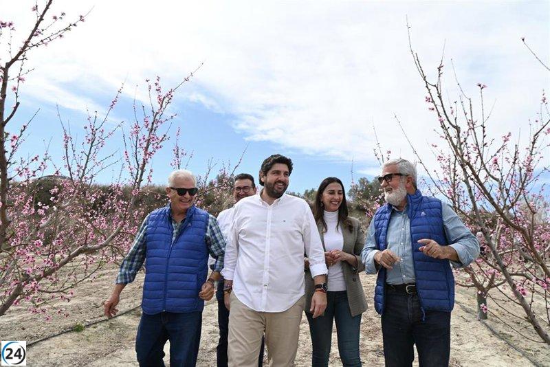 Murcia, líder en exportación de fruta de hueso en España