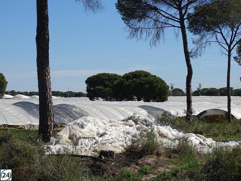 El modelo agrícola hiperintensivo pone en peligro a Doñana y al Mar Menor, según Ecologistas en Acción.
