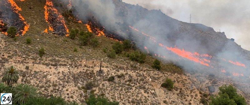 Plan Infomur actúa para apagar incendio forestal en Ojós (Murcia) con cuatro focos.