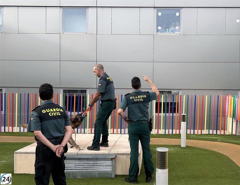 La Guardia Civil muestra su poderío en el Hospital Materno Infantil de la Arrixaca.