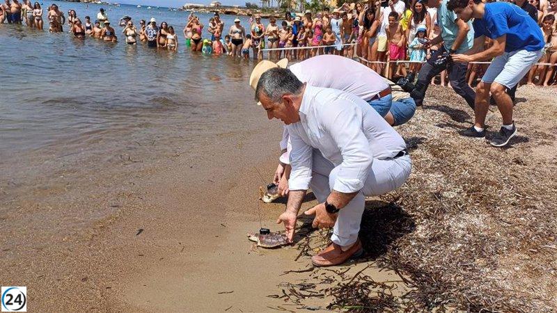 Medio Ambiente libera 20 tortugas boba con seguimiento satelital para investigación.