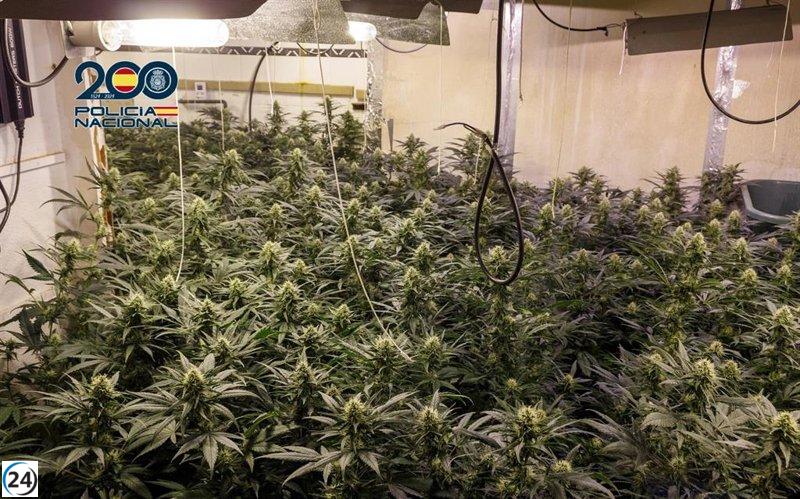 16 detenidos por tráfico de drogas en la Región este mes