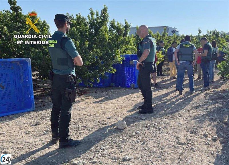 16 personas arrestadas por contratar a extranjeros ilegalmente en fincas agrícolas.