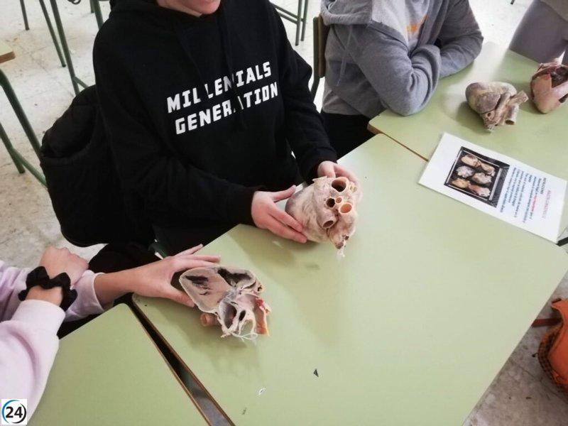 La UMU lidera el proyecto educativo STEAM con órganos plastinados.