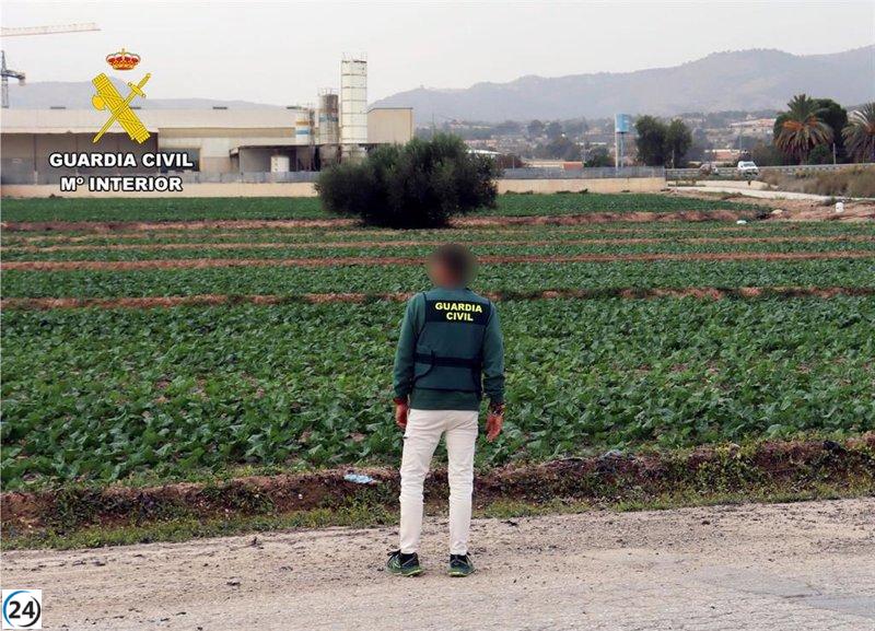 Empresario arrestado por abusar de 12 empleados en fincas de El Guadalentín.