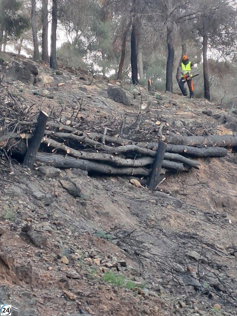 La Comunidad revitaliza el área forestal de El Cabezo en el Parque Regional de El Valle y Carrascoy.