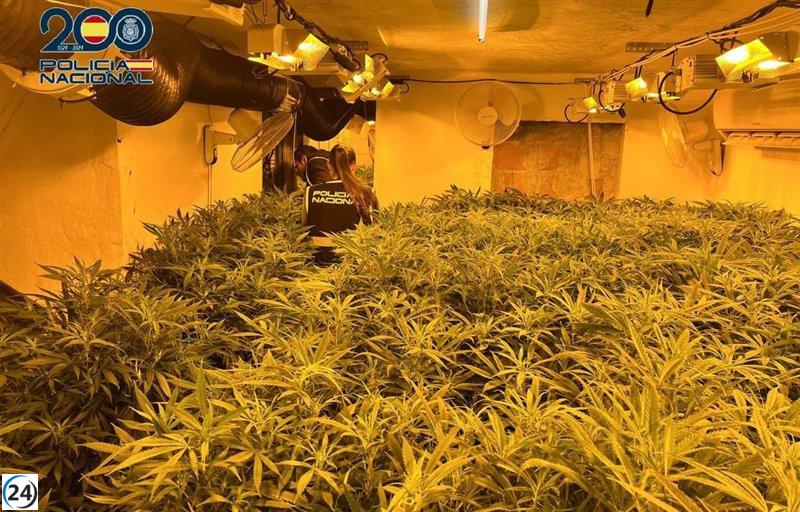 La Policía Nacional desmantela cuatro cultivos de marihuana en Cartagena y arresta a seis individuos.