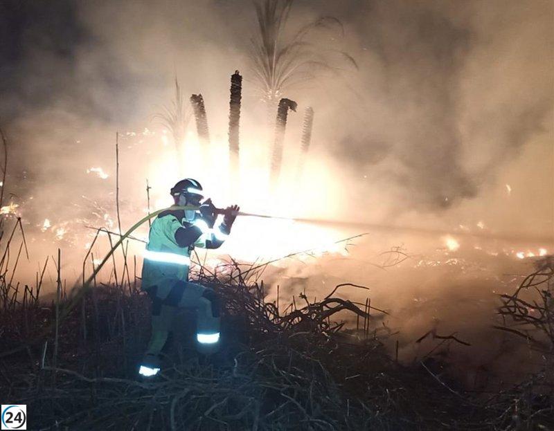 Declaran controlado el incendio en la rambla del Cocón, Águilas.