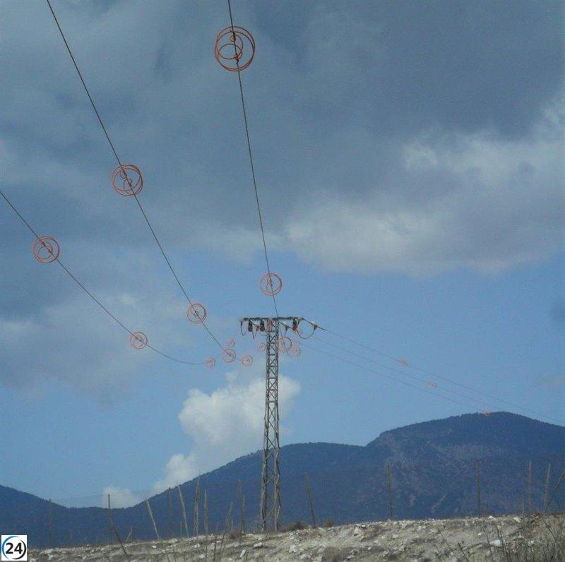 La CARM se compromete a salvaguardar la avifauna adaptando las líneas eléctricas.