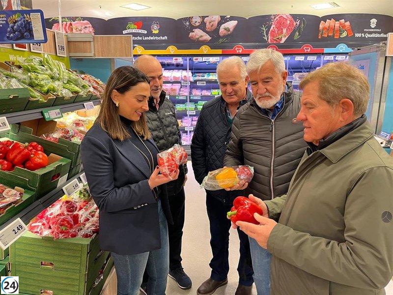 Alemania liderará las exportaciones de frutas y verduras de la región, superando los 1.000 millones en 2024.