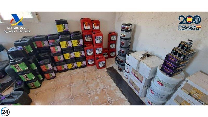 Desmantelan en Murcia a 11 integrantes de banda criminal involucrada en robos y narcotráfico.