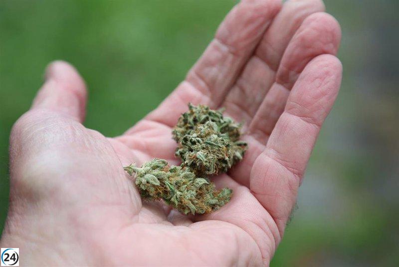 Jóvenes de la Región muestran menores índices de consumo de tabaco, alcohol y cannabis en comparación con la media nacional.