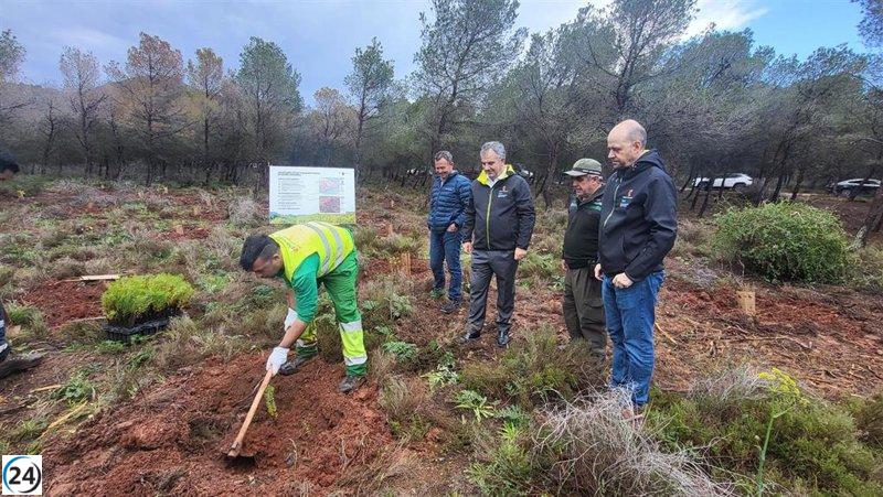 La Comunidad inicia la reforestación en Calblanque con 4.300 plantas nativas.