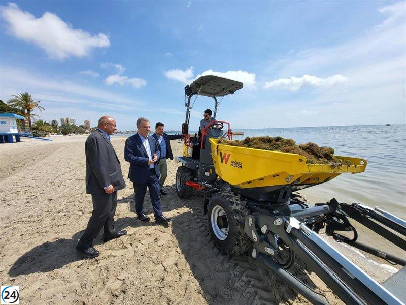 El Gobierno regional acelera la limpieza de biomasa en el Mar Menor.