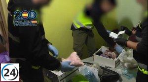 Desmantelan red de trata en Murcia y Albacete; rescatan a 18 mujeres y arrestan a 11 implicados.