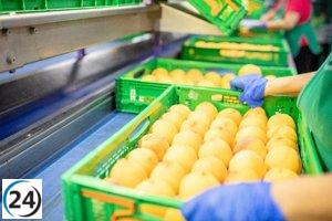 Mercadona invierte más de 1.820 millones de euros en proveedores murcianos en 2024.