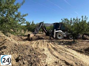 Avanza la limpieza del derrame de petróleo en una granja de Calasparra.