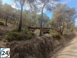 La Comunidad impulsa un proyecto para preservar el hábitat en la Sierra de Ricote y La Navela.