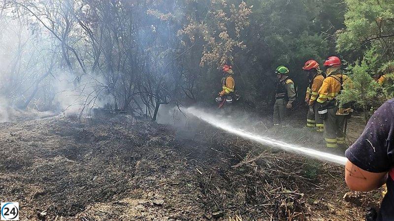 Incendio devora más de 1.600 m² de vegetación en el río Mula en Albudeite.