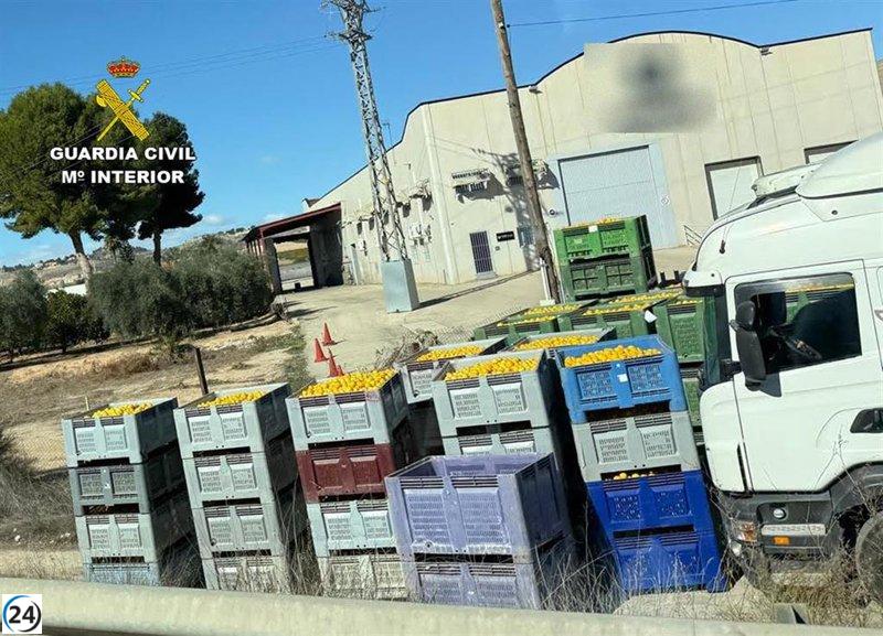 Tres empresarios bajo la lupa por un fraude de medio millón en venta de cítricos ecológicos.