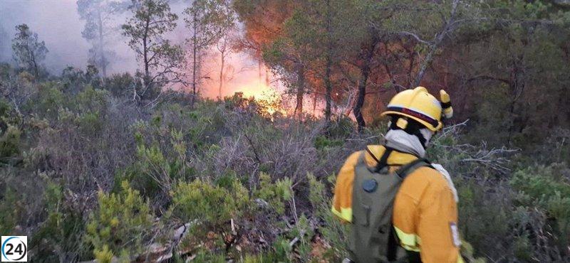 Fuerzas del Plan Infomur sofocan 14 incendios forestales generados por rayos.