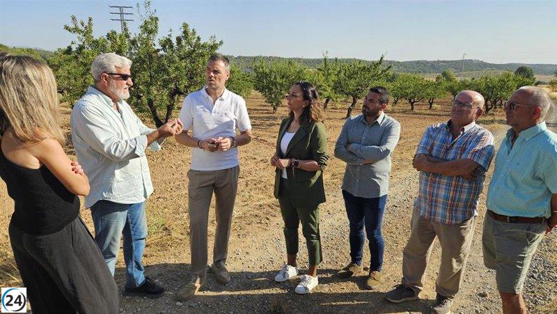 Gobierno destina 4,5 millones en ayudas para productores de almendro perjudicados por la sequía.