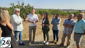 Gobierno destina 4,5 millones en ayudas para productores de almendro perjudicados por la sequía.