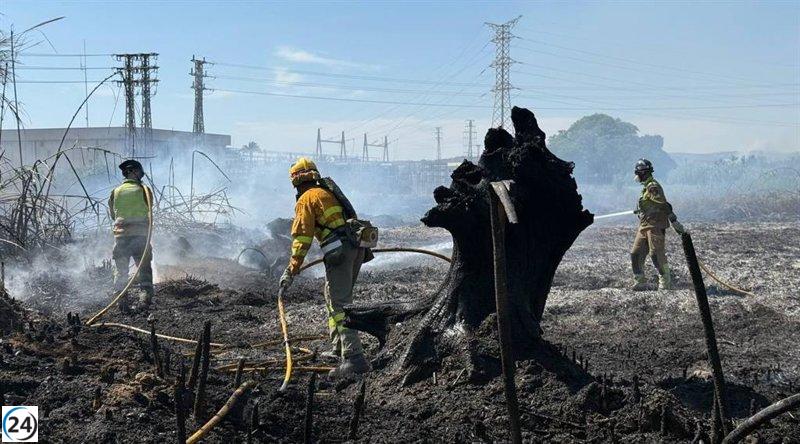 Se apaga el fuego en la zona rural de Monteagudo, en el carril Claras.