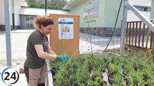 La Comunidad promueve la restauración ecológica con hierbas silvestres locales a través de Interreg Sudoe FLoRE.