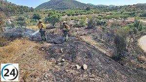 Bomberos extinguieron dos fuegos en el área del río Mula, Bullas.