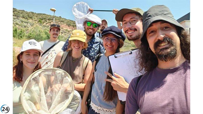 La Universidad de Murcia lanza un innovador programa para investigar las mariposas del Sureste español.