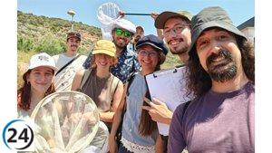La Universidad de Murcia lanza un innovador programa para investigar las mariposas del Sureste español.