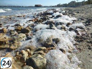 Gobierno regional destina casi un millón de euros en mejoras de saneamiento en el Mar Menor.