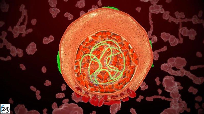Salud enfatiza la necesidad de adoptar medidas seguras para prevenir hepatitis víricas.