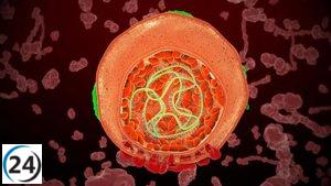 Salud enfatiza la necesidad de adoptar medidas seguras para prevenir hepatitis víricas.