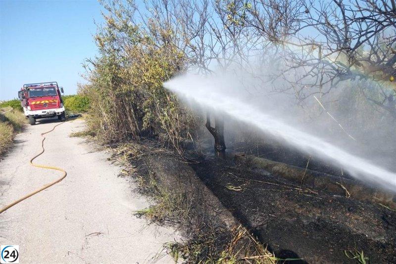 Incendio en huerta de Albudeite es controlado por bomberos.