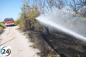 Incendio en huerta de Albudeite es controlado por bomberos.