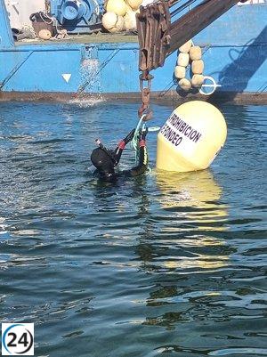 Gobierno local intensifica medidas de protección para la nacra en el Mar Menor.
