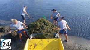La Comunidad elimina 4.200 toneladas de biomasa del Mar Menor desde enero.