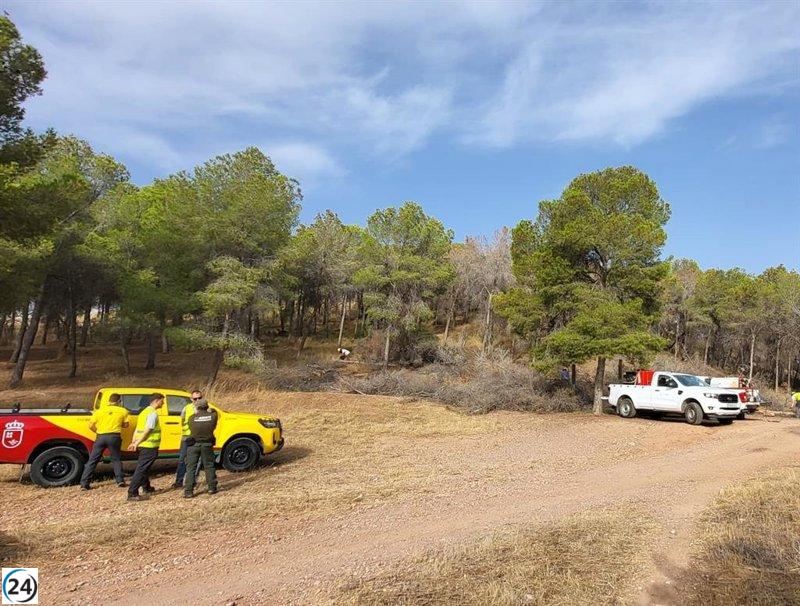 Medio Ambiente impone restricciones en montes para prevenir incendios por intenso calor.