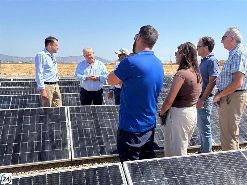 Planta solar en Totana: un alivio en costos eléctricos para regantes.