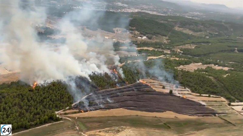 Incendios en Murcia devoran 32,5 hectáreas de bosque.