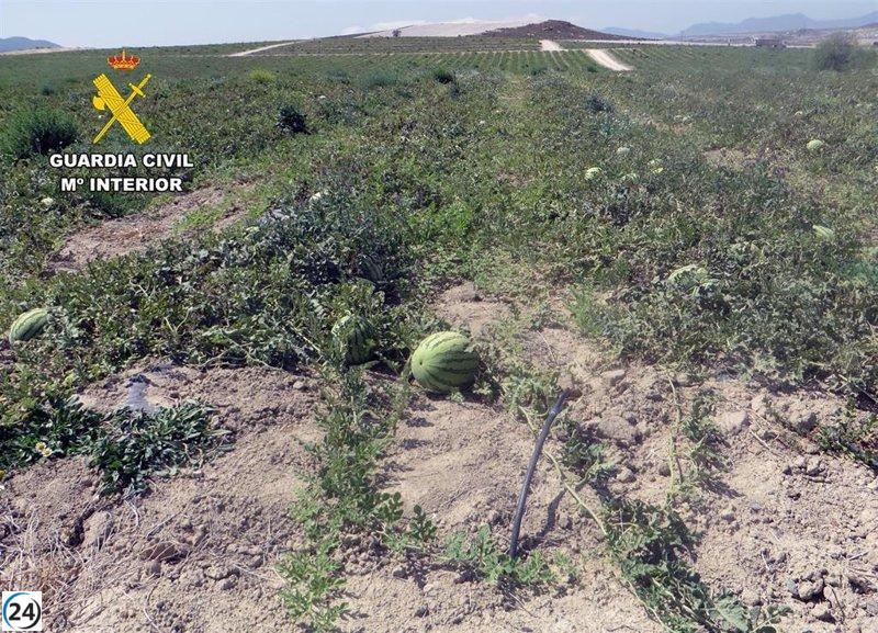 Indagan a agricultores por convertir extensas tierras de secano en regadío.