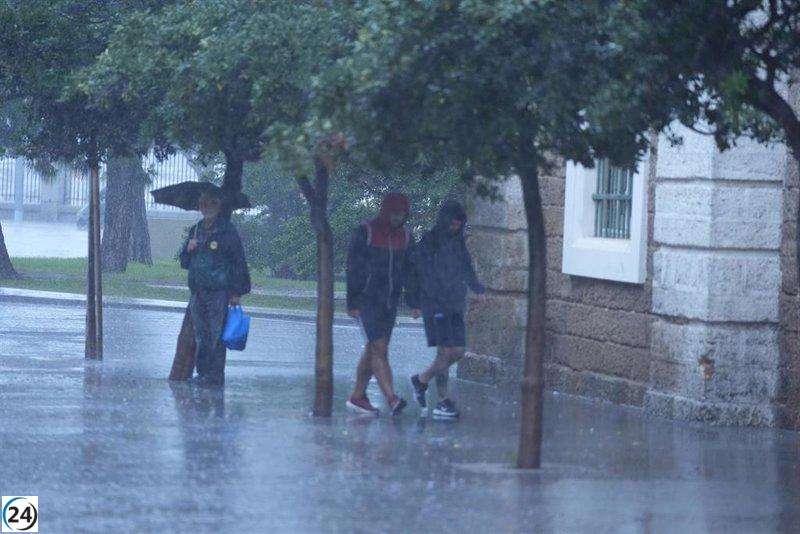 Alerta amarilla: lluvias de hasta 15 litros por m² y tormentas pronosticadas para este jueves.