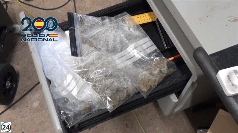 Desarticulan red que traficaba marihuana y hachís hacia Bélgica y Canadá desde nuestra región.